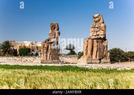 Colossi de Memnon, statues massives en pierre d'Amenhotep III, Louxor, Egypte, Afrique du Nord, Afrique Banque D'Images