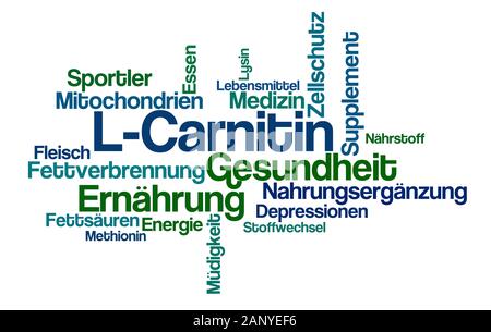 Nuage de mots sur un fond blanc - L-Carnitine - L-carnitine (allemand) Banque D'Images