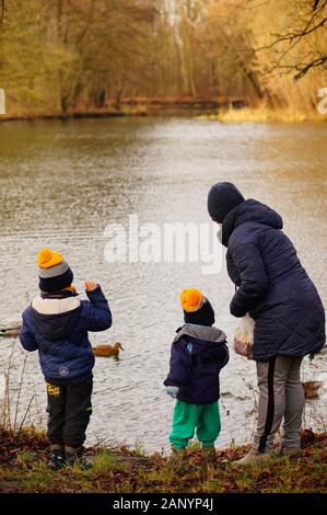 Poznan, POLOGNE - 13 janvier 2020: Une femme adulte et deux enfants qui nourrissent des canards par un lac dans la forêt de Debiec pendant une journée hivernale froide. Banque D'Images