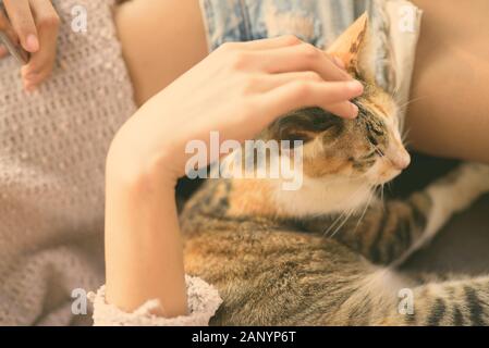 Cute Chat Calico étant caressé par Jeune Femme Banque D'Images