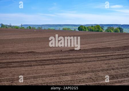 Champ labouré dans un paysage rural au début de l'été Banque D'Images