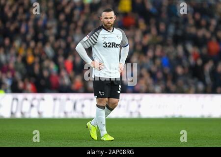 18 janvier 2020, Pride Park Stadium, Derby, England ; Sky Bet Championship, Derby County v Hull City : Derby County Player-Coach Wayne Rooney Crédit : Jon Hobley/News Images Banque D'Images