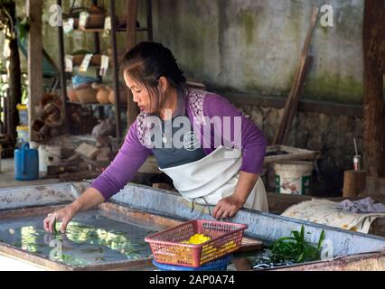 Décorations florales insérées pendant la fabrication du papier de mûrier traditionnel, Ban Xangkong, Laos Banque D'Images