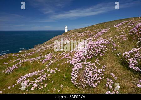 Le phare et l'épargne couverts falaise à Trevose Head sur la côte nord des Cornouailles. Banque D'Images