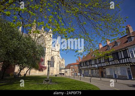 Le front de l'est de la cathédrale de York vu de St William's College. Banque D'Images