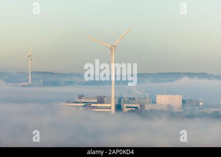 Loughbeg, Ringaskiddy, Cork, Irlande. Le 20 janvier, 2020. Brouillard tôt le matin par un froid matin de janvier couvre l'installation de Johnson & Johnson à Loughbeg manafacturing, Ringaskiddy, co Cork, Irlande. Crédit ; David Creedon / Alamy Live News Banque D'Images