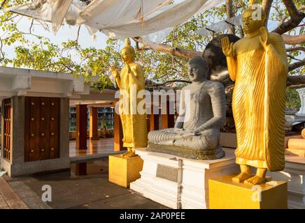 Seema Malakaya de statues dans le lac Bere, Colombo, Sri Lanka Banque D'Images