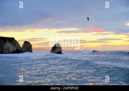 Lever tôt le matin à la baie d'eau douce sur l'île de Wight par un froid matin de janvier avec une mer agitée et les vagues et mouette en vol Banque D'Images