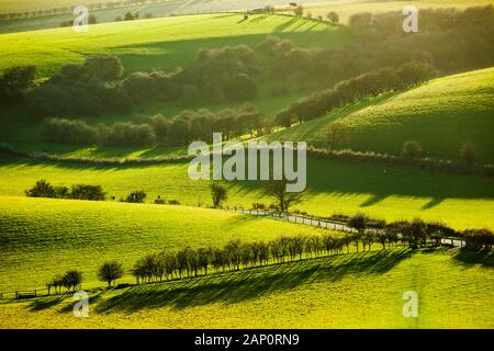 Après-midi d'hiver dans le parc national des South Downs, West Sussex, Angleterre. Banque D'Images