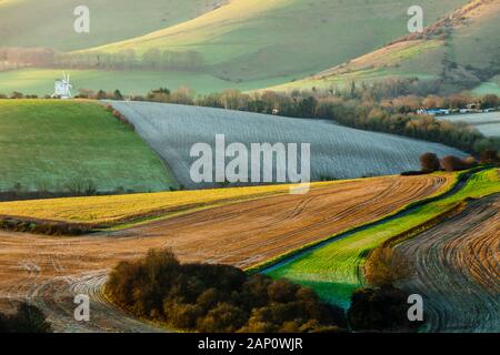 Matin d'hiver sur les South Downs, East Sussex, Angleterre. Banque D'Images