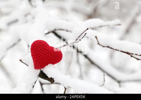 Valentine, la forêt en hiver par temps froid. Tricot rouge coeur sur couvert de neige des branches, symbole de l'amour romantique, concept de la Saint-Valentin Banque D'Images