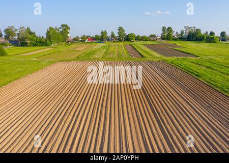 Les terres de labour sillons pour planter les plantes agronomiques parmi la campagne d'herbe et les prés des arbres, vue aérienne d'en haut Banque D'Images