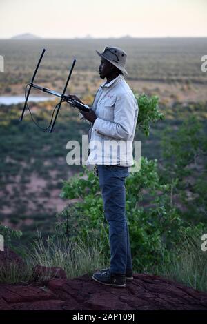 Okonjima, la Namibie. 08Th Mar, 2019. Avec une antenne DF, un ranger est à la recherche d'un signal radio dans un parc animalier après un signal radio émis par le col de léopard dans la zone du parc, enregistré sur 04.03.2019. Credit : Matthias Toedt/dpa-Zentralbild/ZB/Photo Alliance | utilisée dans le monde entier/dpa/Alamy Live News Banque D'Images