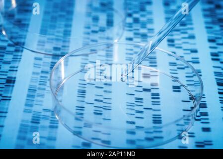 C'est l'échantillon à la pipette dans une boîte de Petri sur résultats génétiques. Dans le monde d'utilisation | Banque D'Images