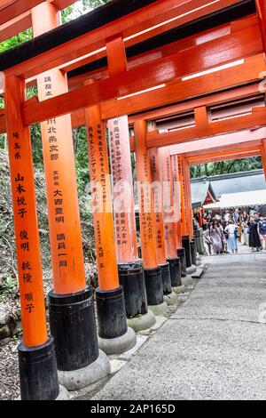 Kyoto, Fushimi ku,Japon, Asie - 5 septembre 2019 : Senbon Torii, la rangée de Torii Gates au Sanctuaire Fushimi Inari taisha Banque D'Images