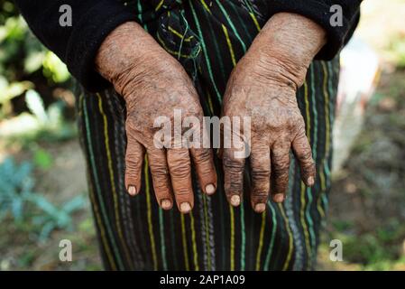 Mains de la femme âgée autochtone. Elle travaille de 5 h à 20 h tous les jours dans une plantation de café près de Calle San Lazaro, Antigua, Guatemala. Janvier 2019 Banque D'Images