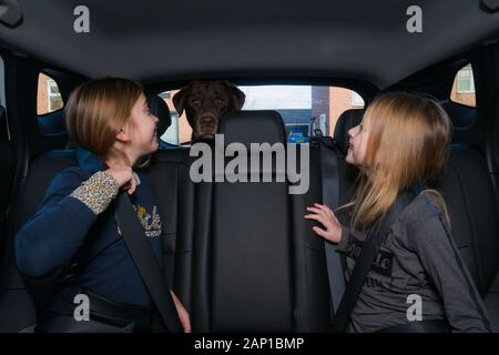 Animaux de compagnie en tant que membre de la famille. Deux enfants à l'arrière d'une voiture, regardant le chien à l'arrière de la voiture. Banque D'Images