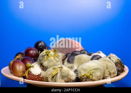 Les fruits et les baies dans une tasse et moisis pourris Banque D'Images