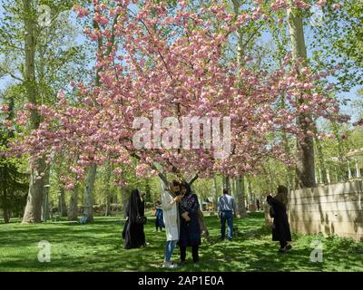 Téhéran, Iran. 18 avr, 2017. Le palais de Niavaran complexe dans le nord de la capitale iranienne Téhéran, prises le 18 avril 2017. Utilisation dans le monde entier | Credit : dpa/Alamy Live News Banque D'Images