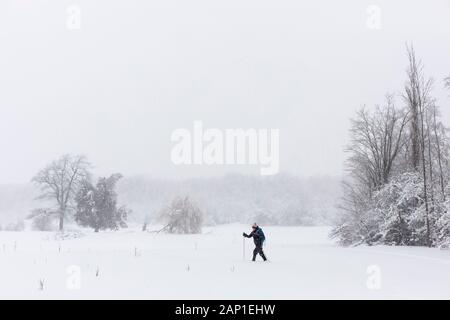 Une dame de skis de fond à travers un champ, pendant une tempête en jolie rivière Vally Parc provincial, les Blue Mountains, Ontario, Canada. Banque D'Images