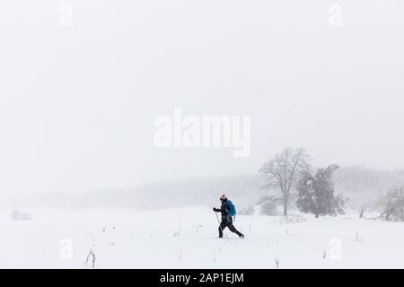 Une dame de skis de fond à travers un champ, pendant une tempête en jolie rivière Vally Parc provincial, les Blue Mountains, Ontario, Canada. Banque D'Images