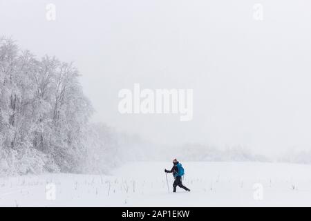 Une dame de skis de fond à travers un champ, pendant une tempête en jolie rivière Vally Parc provincial, les Blue Mountains, Ontario, Canada. Banque D'Images