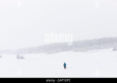 Une dame de skis de fond à travers un champ, pendant une tempête en jolie rivière Vally Parc provincial, les Blue Mountains, Ontario, Canada. Banque D'Images