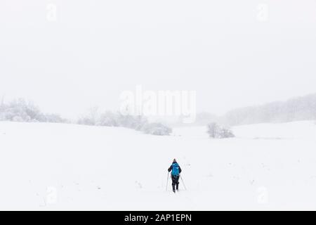 Une dame de skis de fond à travers un champ, pendant une tempête en jolie rivière Vally Parc provincial, les Blue Mountains, Ontario, Canada. Banque D'Images