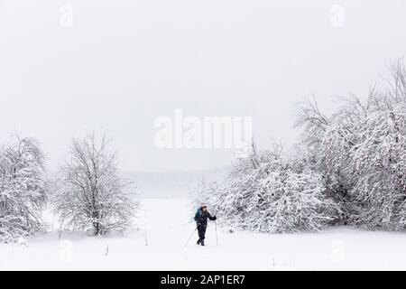 Une dame de skis de fond à travers un champ, pendant une tempête en jolie rivière Vally Parc provincial, les Blue Mountains, Ontario, Canada. Banque D'Images