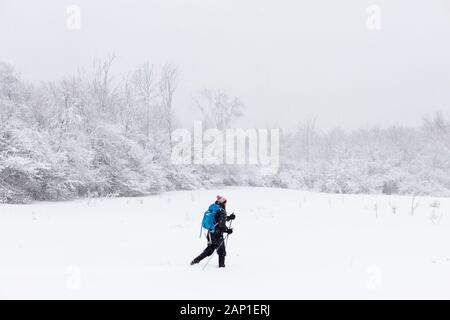 Une dame de skis de fond à travers un champ, pendant une tempête en jolie rivière Vally Parc provincial, les Blue Mountains, Ontario, Canada. Banque D'Images