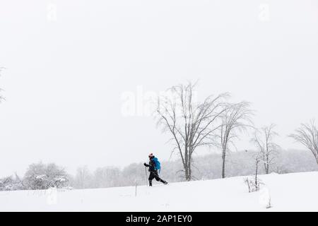 Une dame de skis de fond à travers un champ, pendant une tempête en jolie rivière Vally Parc provincial, les Blue Mountains, Ontario, Canada. Banque D'Images