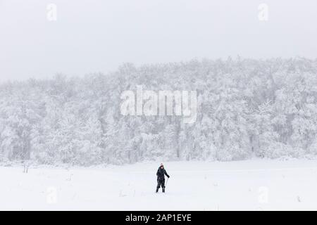 Une dame de skis de fond à travers un champ, pendant une tempête en jolie rivière Vally Parc provincial, les Blue Mountains, Ontario, Canada. Banque D'Images