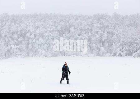 Une dame de skis de fond à travers un champ, pendant une tempête en jolie rivière Vally Parc provincial, les Blue Mountains, Ontario, Canada. Banque D'Images