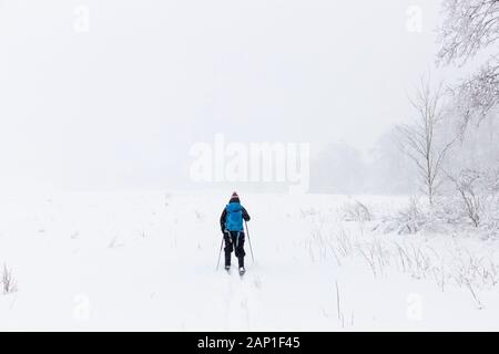Une dame de skis de fond à travers un champ, pendant une tempête en jolie rivière Vally Parc provincial, les Blue Mountains, Ontario, Canada. Banque D'Images