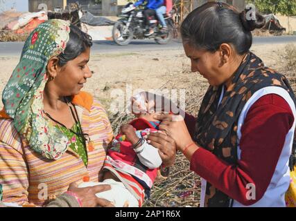 Beawar, Inde. 20 Jan, 2020. Un enfant est administré le vaccin contre la polio par impulsions gouttes ANM travailleur dans un bidonville au cours de campagne de vaccination contre la polio d'impulsions à Beawar. (Photo by Sumit Mamadou Diop/Pacific Press) Credit : Pacific Press Agency/Alamy Live News Banque D'Images