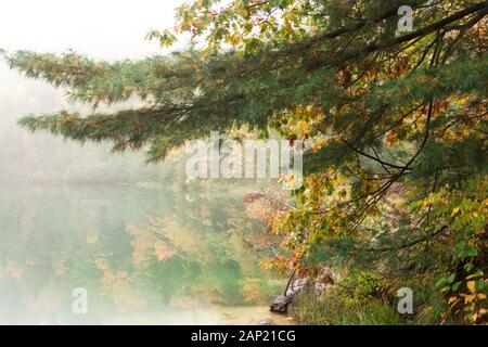 Forêt d'automne reflétée dans l'eau encore. Randonnée le long du sentier du lac Pink dans le parc de la Gatineau, près d'Ottawa - Canada. Paysage paisible Banque D'Images