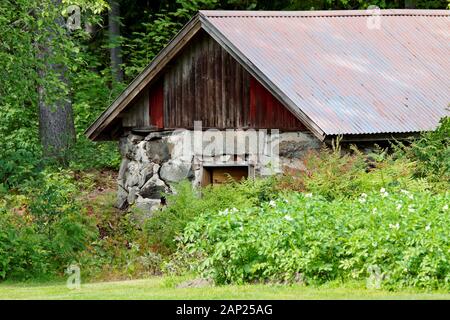 Une ancienne cave avec porte ouverte en été Banque D'Images