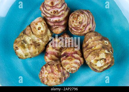 Groupe de topinambours (Topinambur) tubercules sur bleu chine plaque comme alternative à la pomme de low carb Banque D'Images