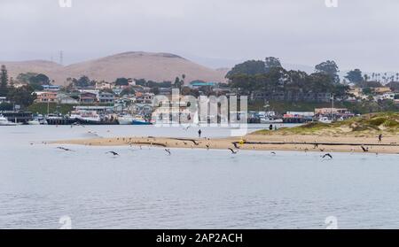 Vue sur l'entrée calme de Morro Bay, avec des rangées de maisons et de magasins le long du front de mer au-delà d'une plage, sur la côte de la Californie Banque D'Images