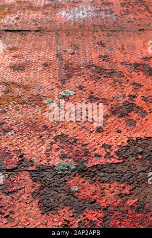 La vieille peinture rouge écaille la plaque d'acier rouillée avec de la lichen qui prend en charge les taches. Princes Wharf, Waitemata Harbour, Auckland, Nouvelle-Zélande Banque D'Images