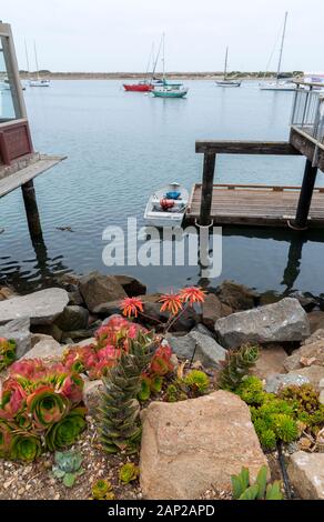 Vue sur les bateaux à quai dans le port un après-midi couvert à Morro Bay, en Californie Banque D'Images