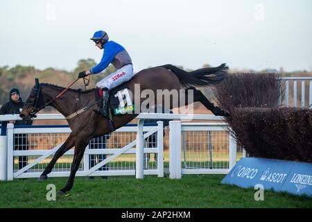 Ascot, Berkshire, Royaume-Uni. 18 janvier, 2020. Ascot, Berkshire, Royaume-Uni. 18 janvier, 2020. Paddy Brennan Jockey courses dans le Bet365 Handicap Steeple Chase sur l'Aintree mon rêve. Mme propriétaire D J Brown, Formateur Milton Harris, Warminister, éleveur Anne Sophie Orriere & Didier Veillon. Credit : Maureen McLean/Alamy Banque D'Images