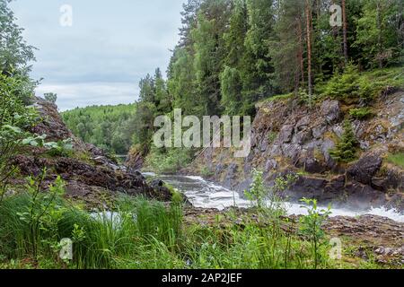 La nature du nord de la Russie. La Carélie. La Russie Banque D'Images