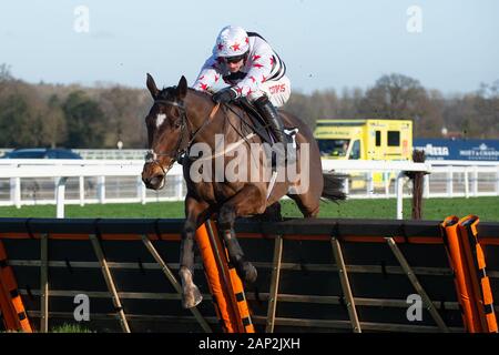 Ascot, Berkshire, Royaume-Uni. 18 janvier, 2020. Coin Adam jockey à cheval Kapitaliste dans le programme d'ambassadeur de l'IJF Ascot Course de Haies juvénile (classe 3) à Ascot Racecourse. Credit : Maureen McLean/Alamy Banque D'Images