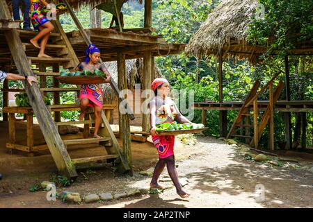 Servant des plats de poissons et de légumes pour les touristes, dans le village indigène Embera Parc National Frais, Panama Banque D'Images