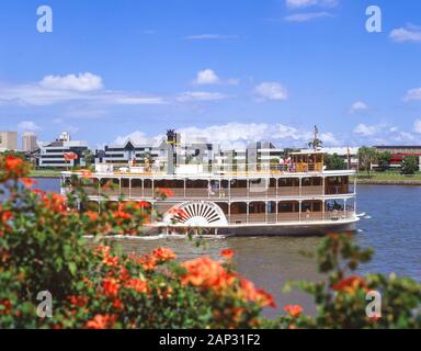 Kookaburra aubes Queen croisière sur fleuve de Brisbane, Brisbane, Queensland, Australie Banque D'Images