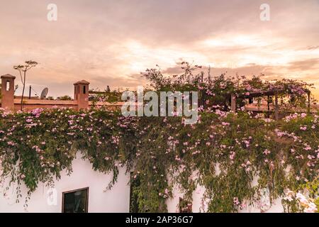 Toit d'un Riad à Marrakech au coucher du soleil Banque D'Images