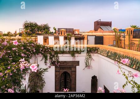 Toit de Riad à Marrakech avec des plantes roses Banque D'Images