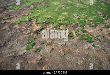 Drone view of dry paysage avec buissons aléatoire Banque D'Images