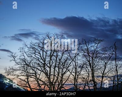 Silhouette d'arbres contre le ciel et les montagnes dans la soirée sur la Rosa Khutor balcon de l'hôtel Banque D'Images